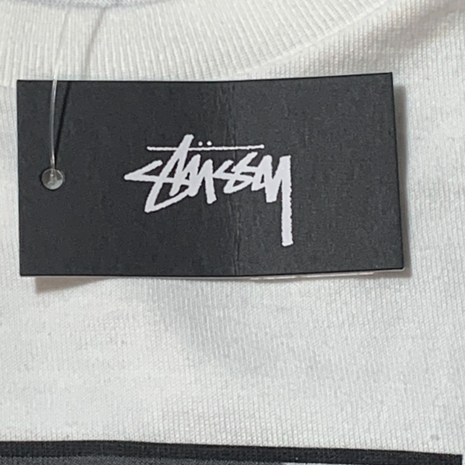 むつ75-072001][併売] 希少 レア Stussy ステューシー 19ss KARL