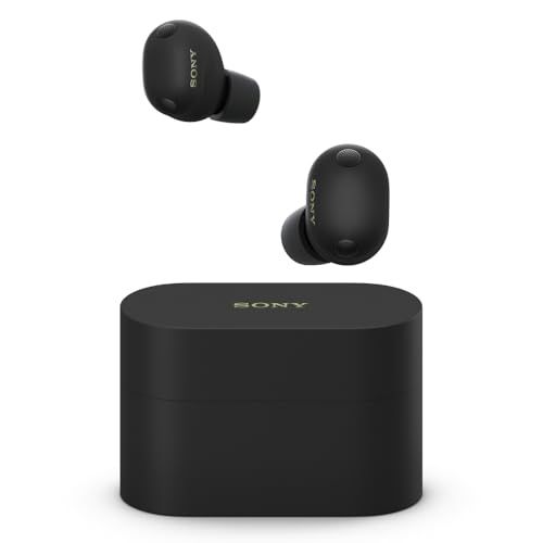 ソニー(SONY) WF-1000XM6 ブラック ワイヤレスイヤホン Bluetooth ハイレゾ 世界最高クラスノイズキャンセリング 外音取り込み 高性能マイク 通話品質 LDAC IPX4防滴 マルチポイント ロングバッテリー WF-1 f522115a