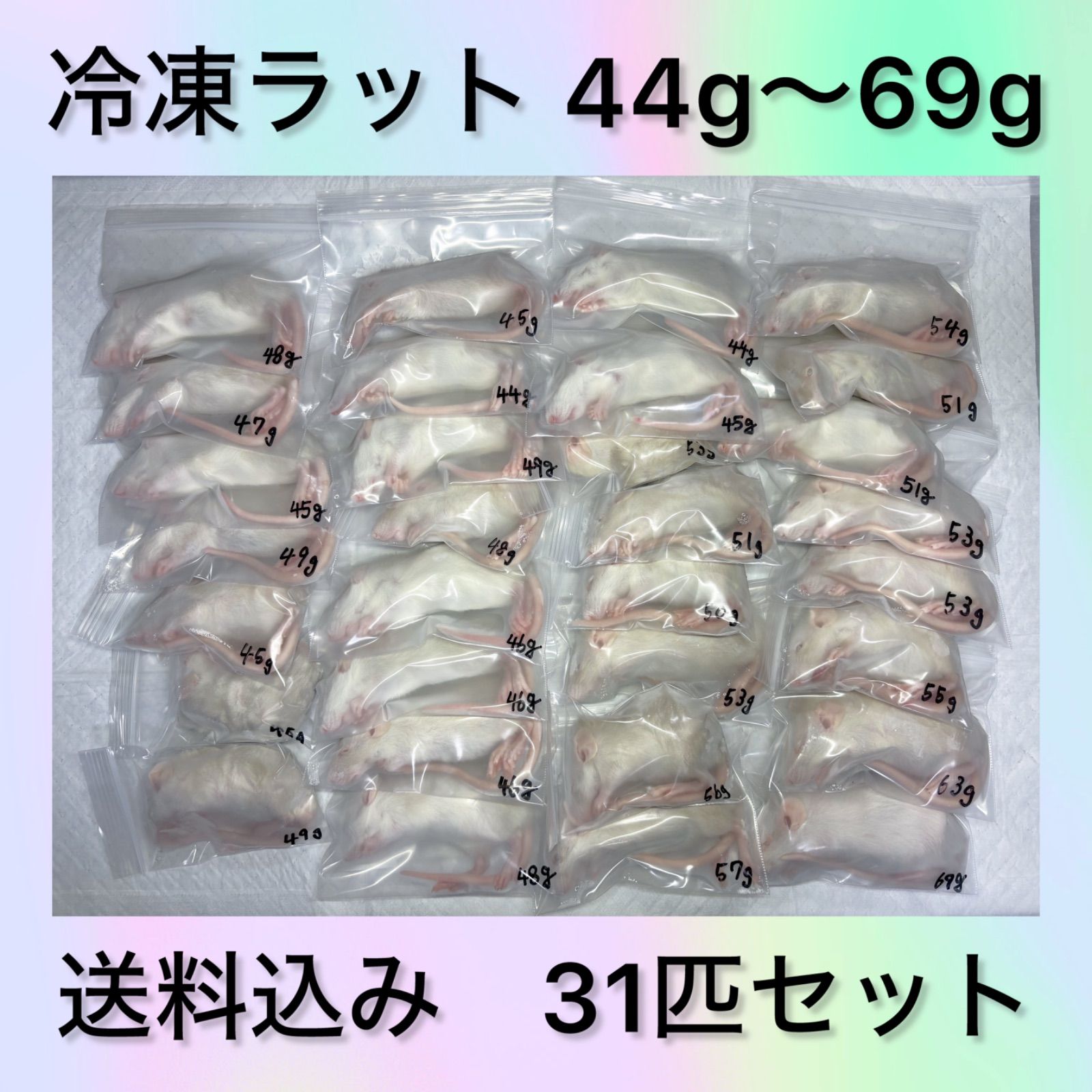 冷凍ラット 冷凍ラット SS 44g-69g 31匹 - メルカリ