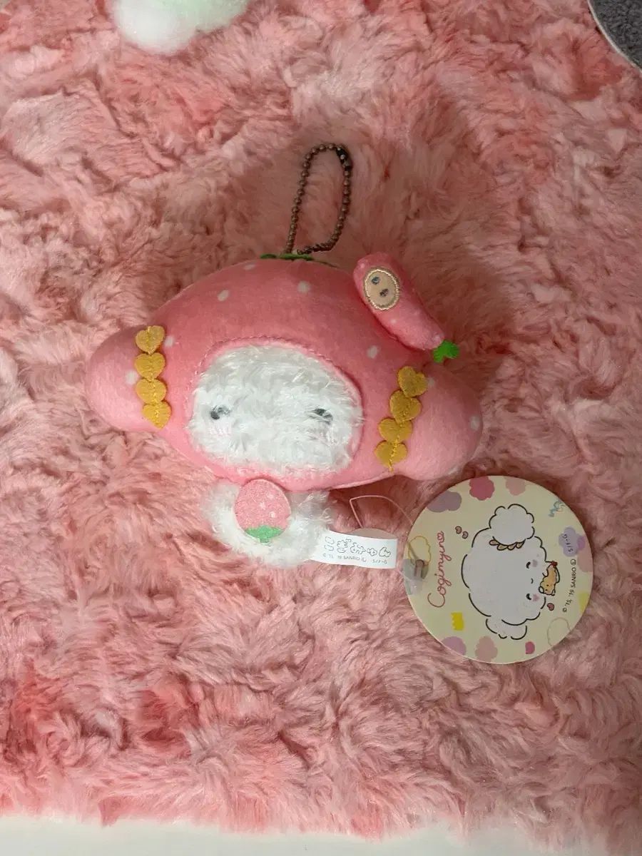 ゴーいちご こぎみゅん