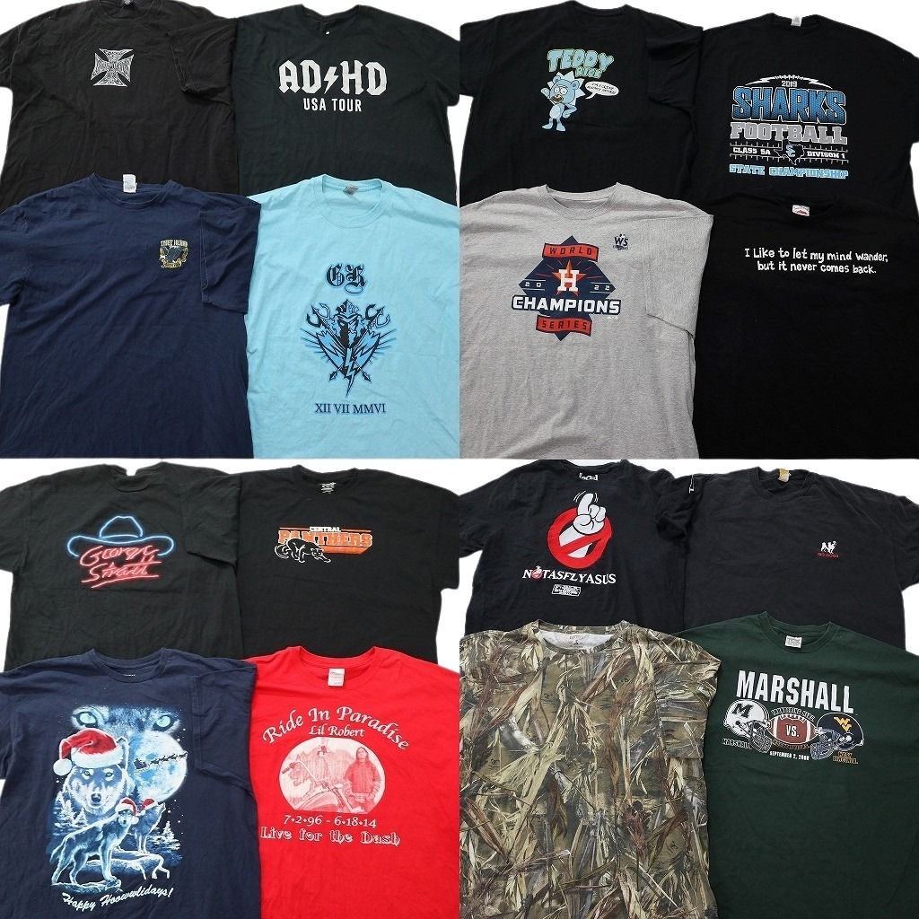 古着卸 まとめ売り プリント Tシャツ 16枚セット ( メンズ 2XL/3XL ) リアルツリー柄 アニマル動物 プロチーム ブラック 中古 古着 NF7661 13,578円