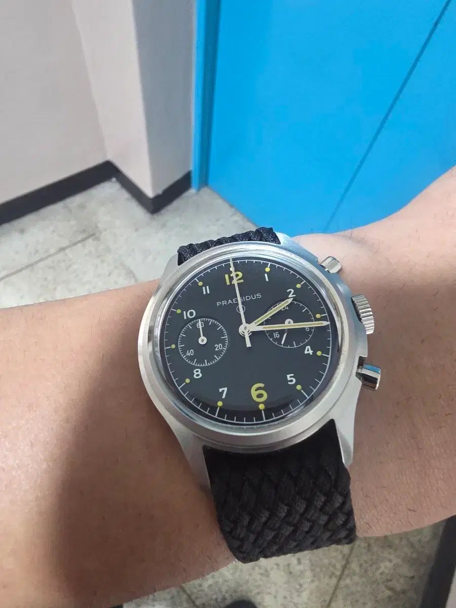フレシダスクロノ