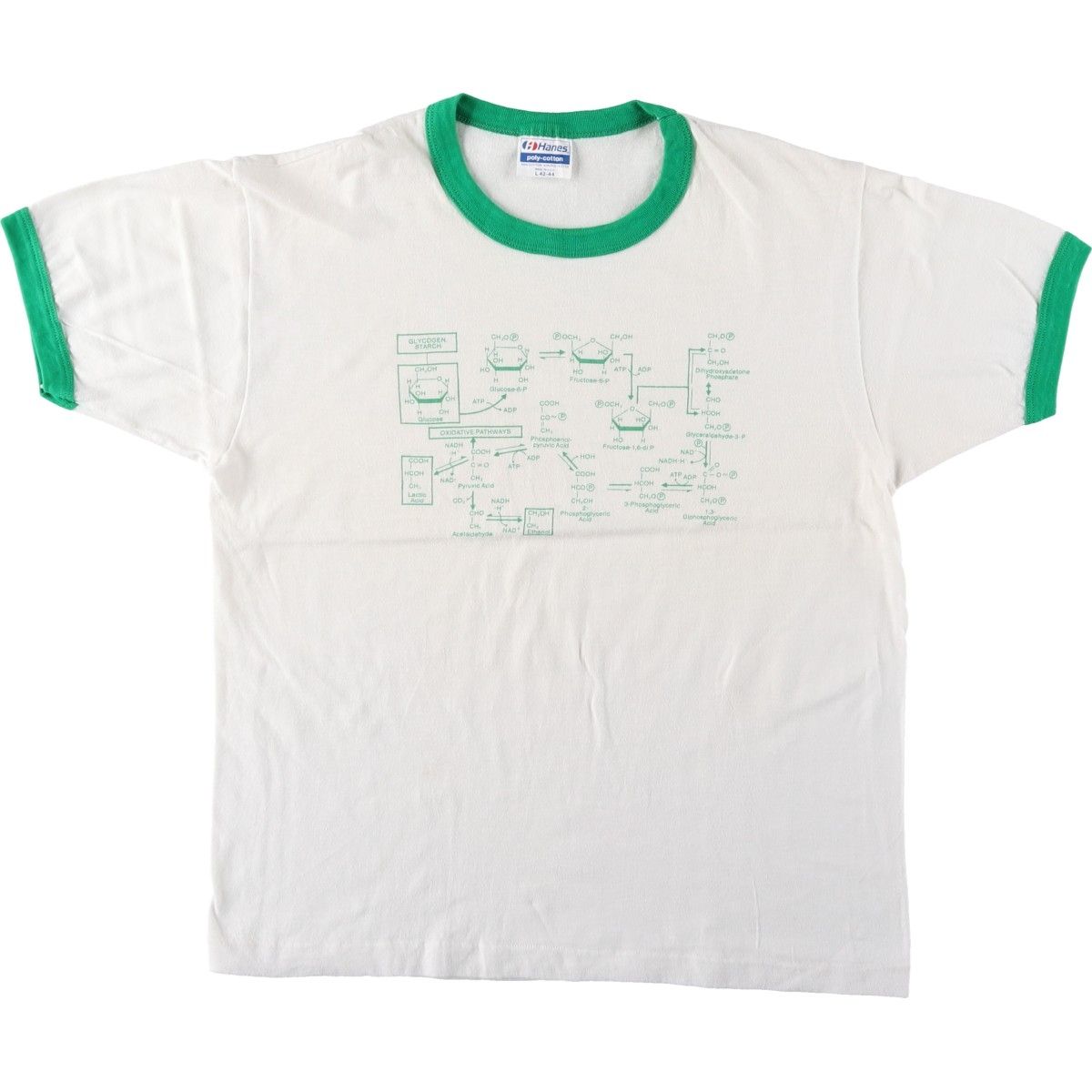 古着 80年代 ヘインズ Hanes POLY-COTTON 青タグ リンガーTシャツ USA 