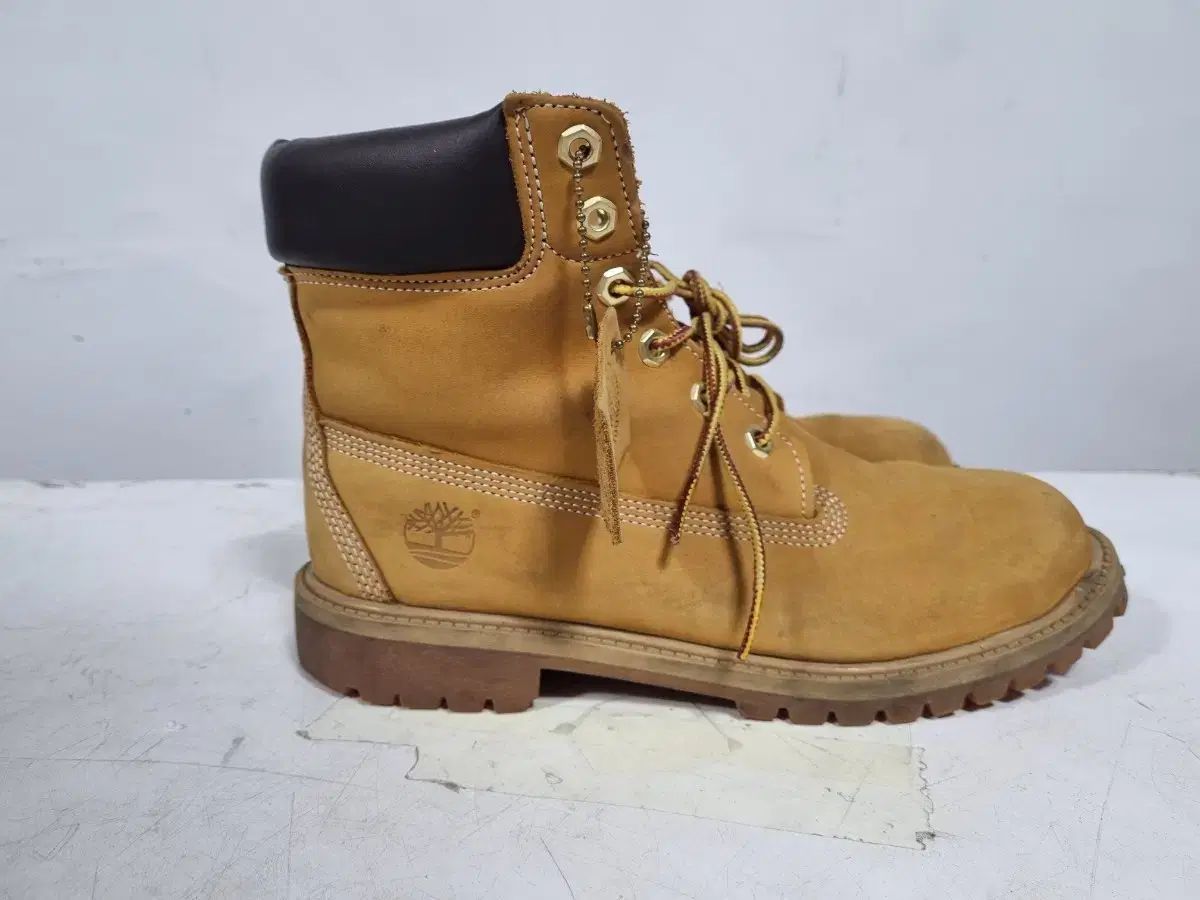 Timberland ウォータープルーフ 6インチ ウォーカーブーツ 250