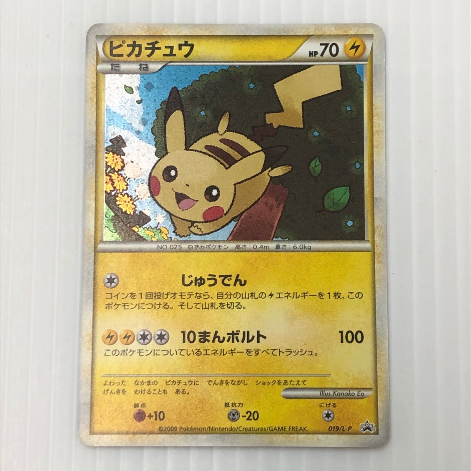 Pokemon SC 014/020 イーブイ(1stEDITION) U 【公式通販】