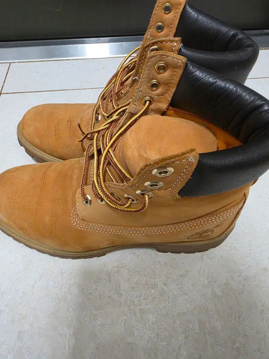Timberland® 6インチ ウォーカーブーツ 250 256