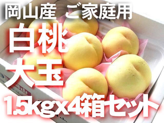 【冷蔵便　ご家庭用】岡山産　白桃　約1.5ｋｇｘ4箱（1箱5～7玉入り）