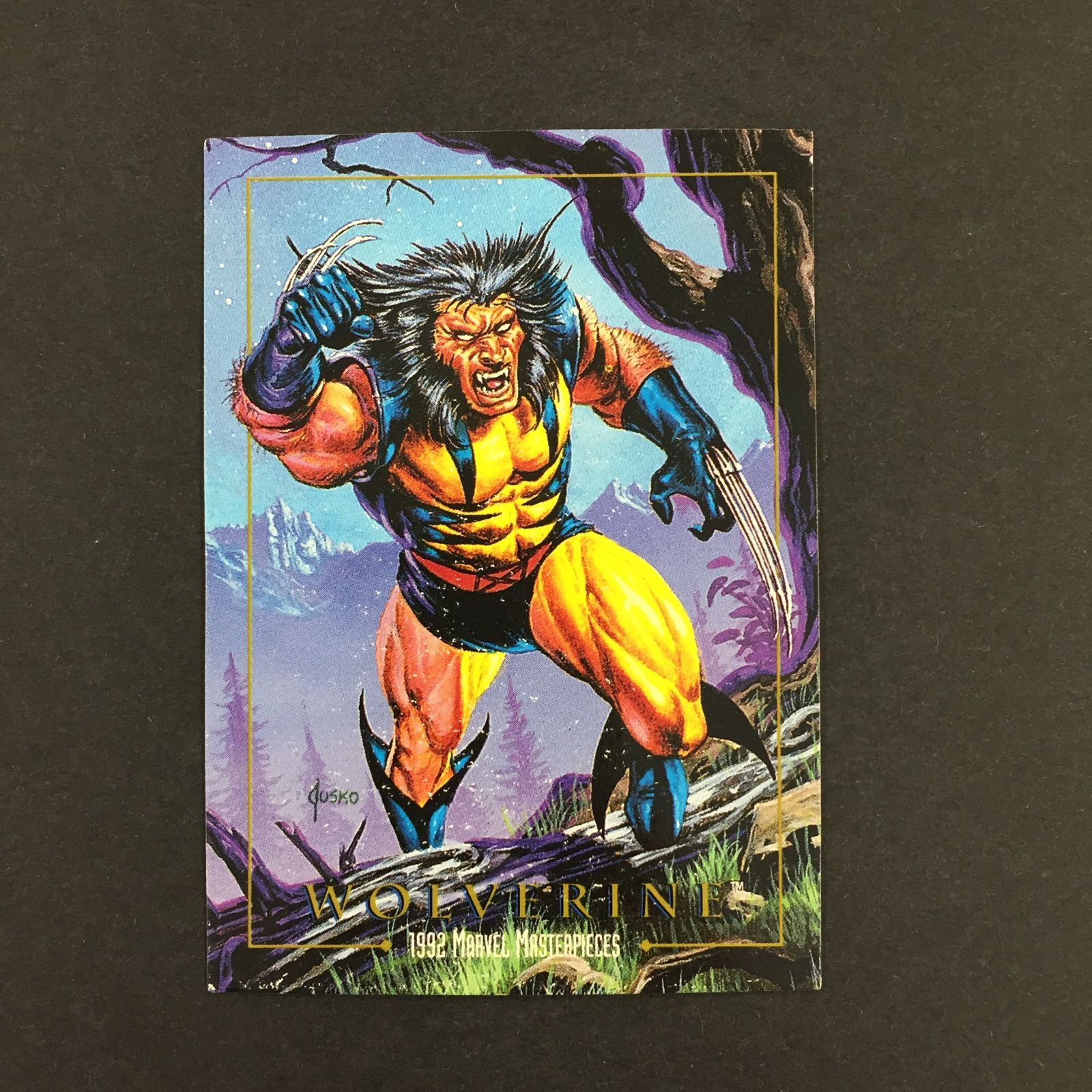 3637171 94 Wolverine skybox マーベル・スーパーヒーローズシリーズ トレカ