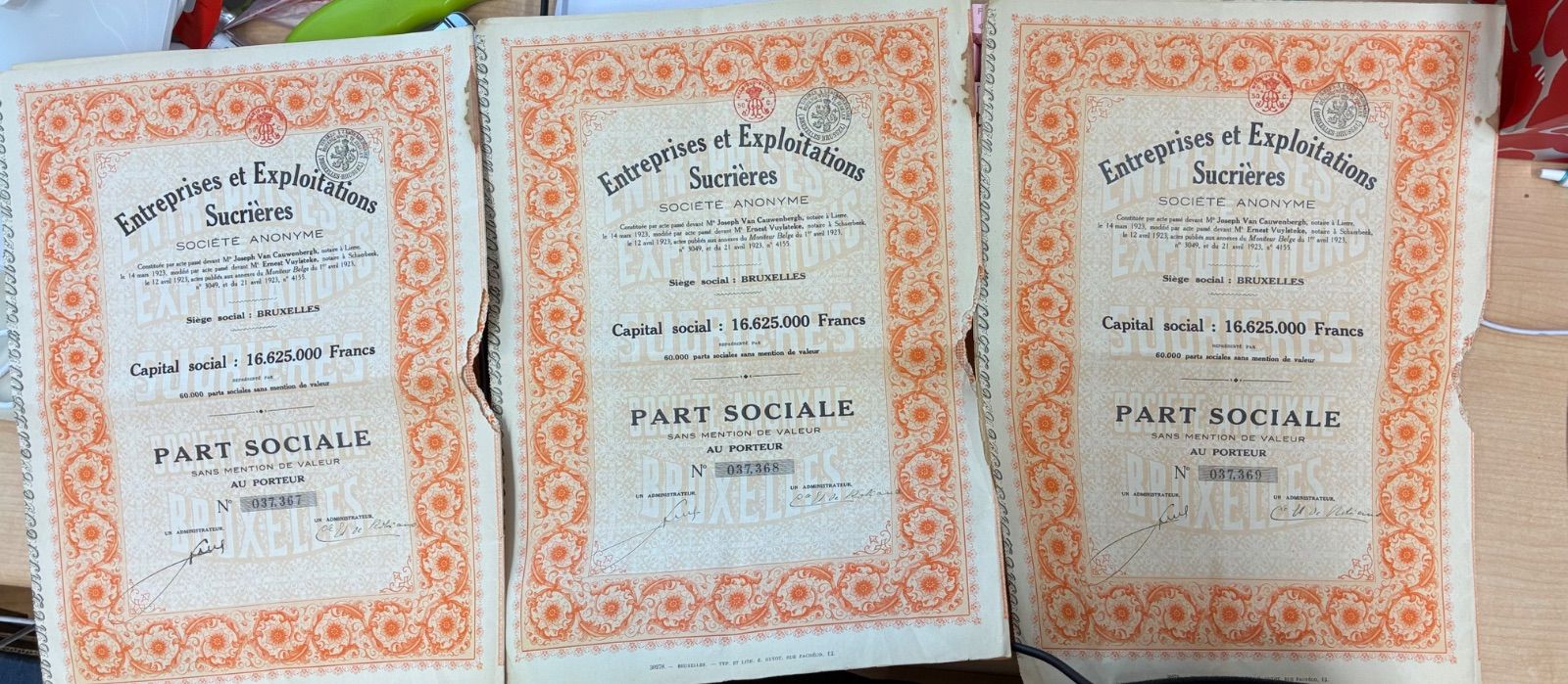 【1920年代 希少3枚セット】ベルギー アンティーク 株券 クーポンシート付き 1923年 レトロ 額装 紙もの