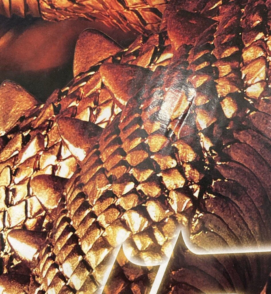 バンダイ 怪獣番外地 キングギドラ1964 三つ首セット - メルカリ