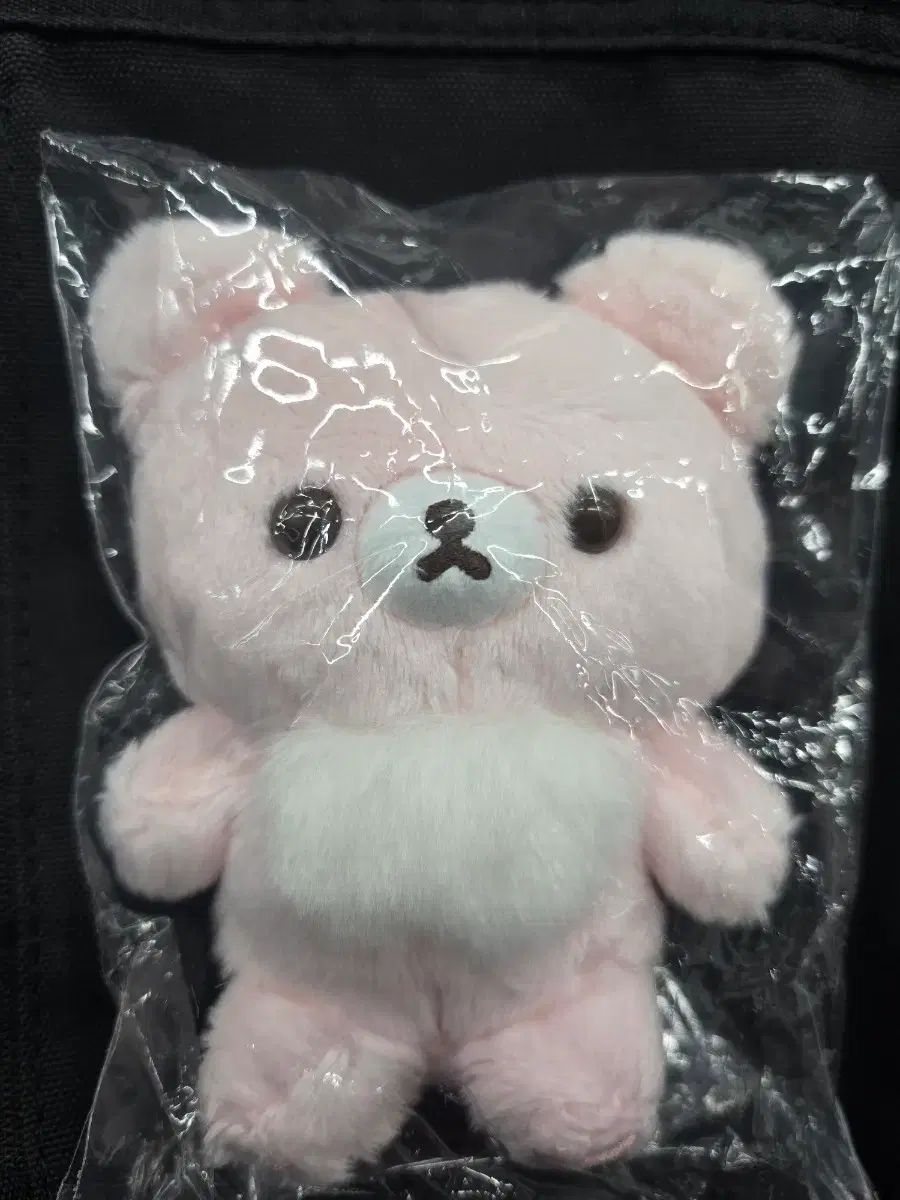 ピンク コグマ (잠실 San-X STORE 購入)