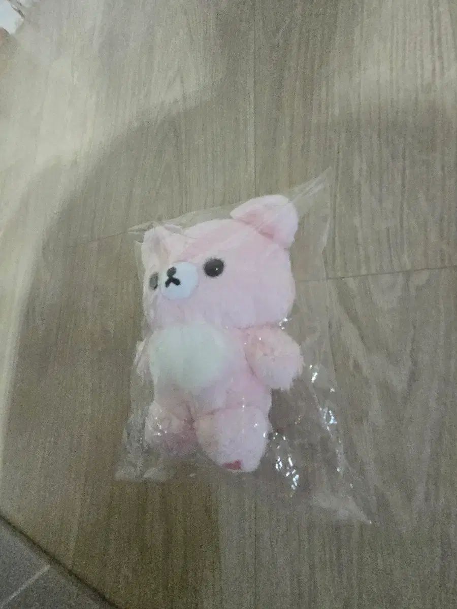 ピンク コグマ (잠실 San-X STORE 購入)
