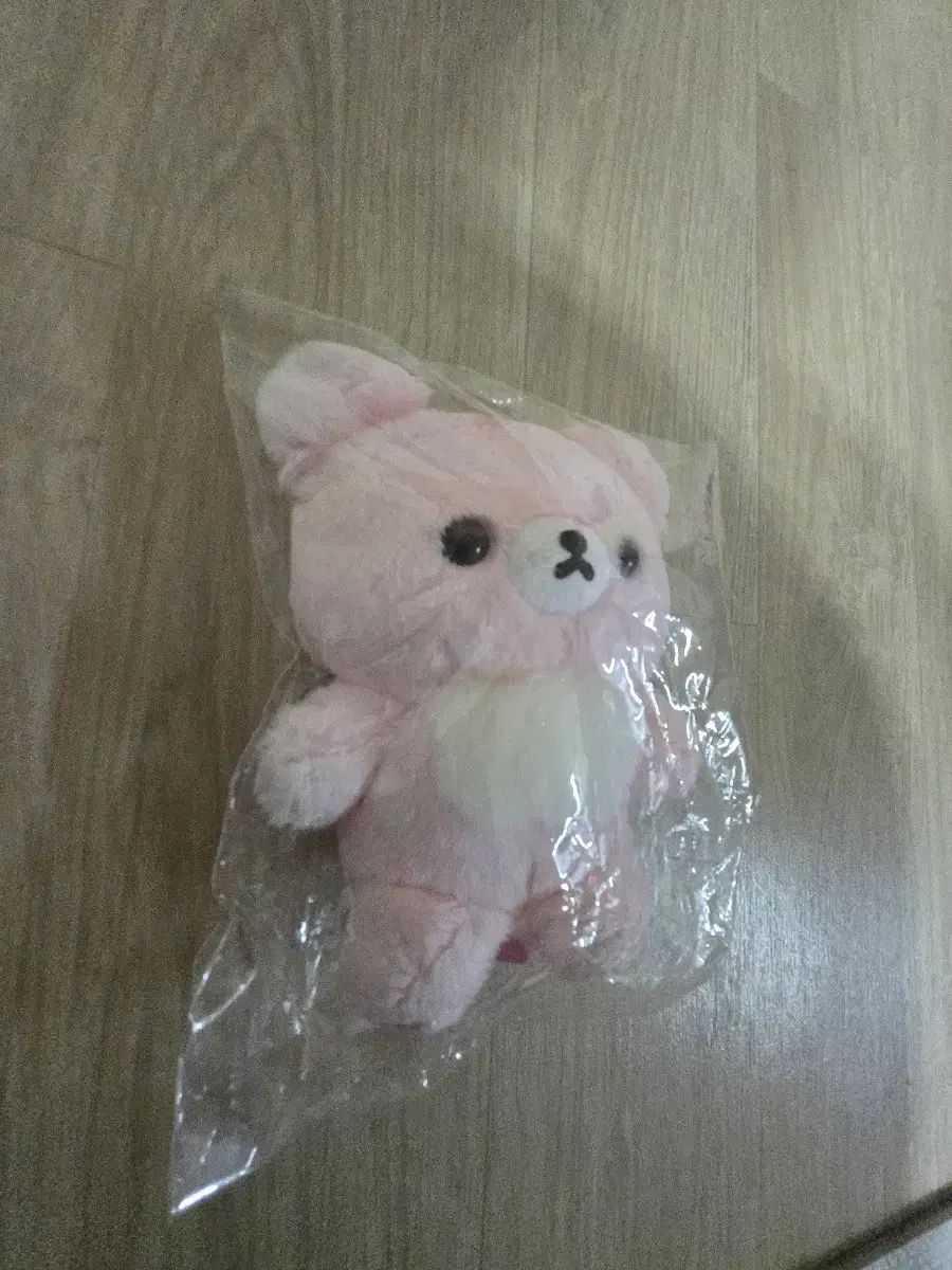 ピンク コグマ (잠실 San-X STORE 購入)