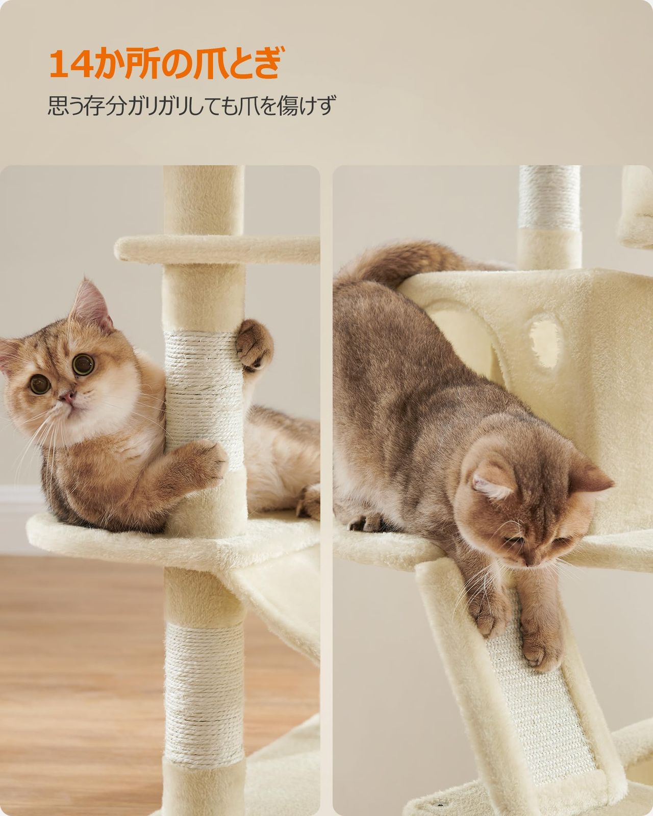 FEANDREA キャットタワー スリム 大型猫用 多頭飼い ハンモック 省スペース 安定感 高さ168cm FEANDREA キャットタワー スリム 大型猫用 多頭飼い ハンモック 省スペース 安定感 高さ168cm
