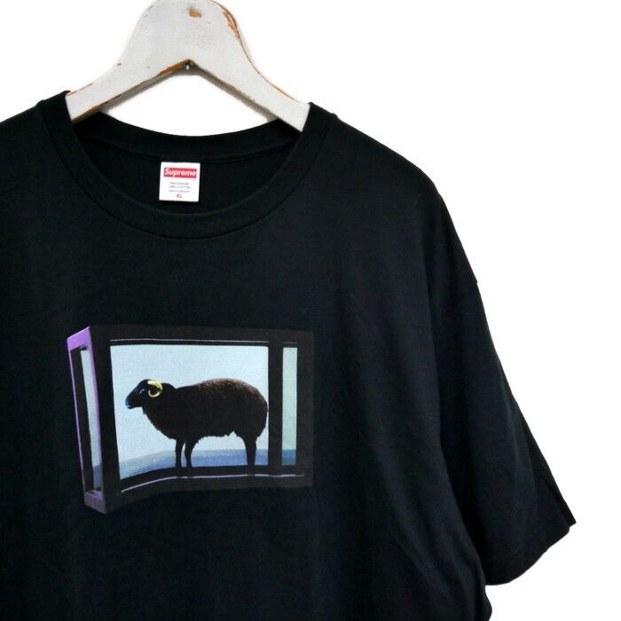 Supreme×Damien Hirst ダミアンハースト 国内正規 25SS Tee プリントT