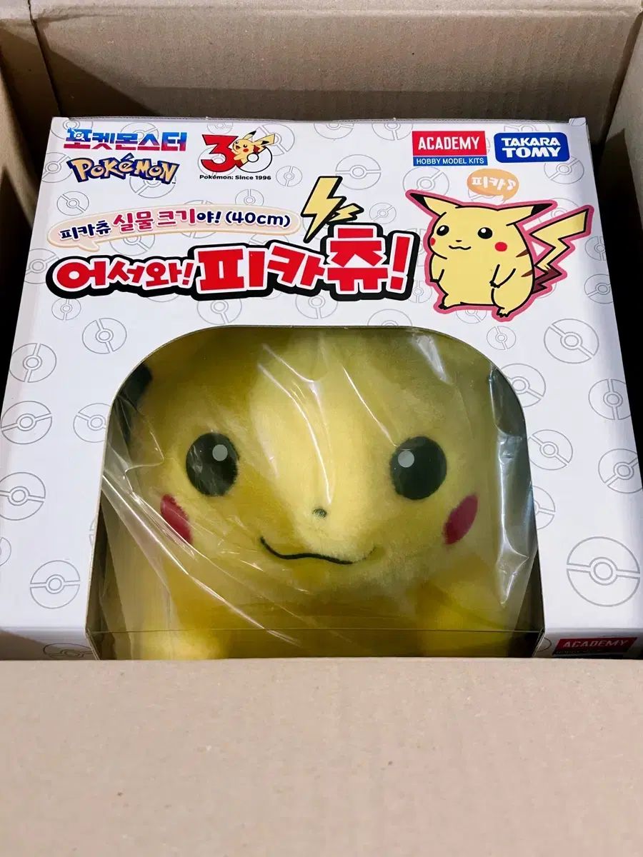 ポケットモンスター ピカチュウ ぬいぐるみ 30周年 ようこそピカチュウ