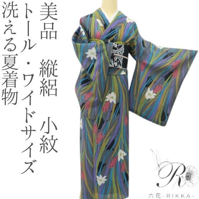 六花-RIKKA- 美品 洗える夏着物 トール・ワイドサイズ 縦絽❀風に咲く