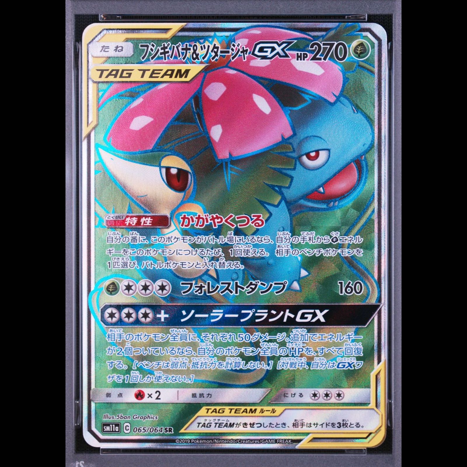 フシギバナ＆ツタージャGX SR リミックスバウト 066/064 psa9 PSA10】 フシギバナ&ツタージャGX (SR) {065/064} [SM11a/リミックス