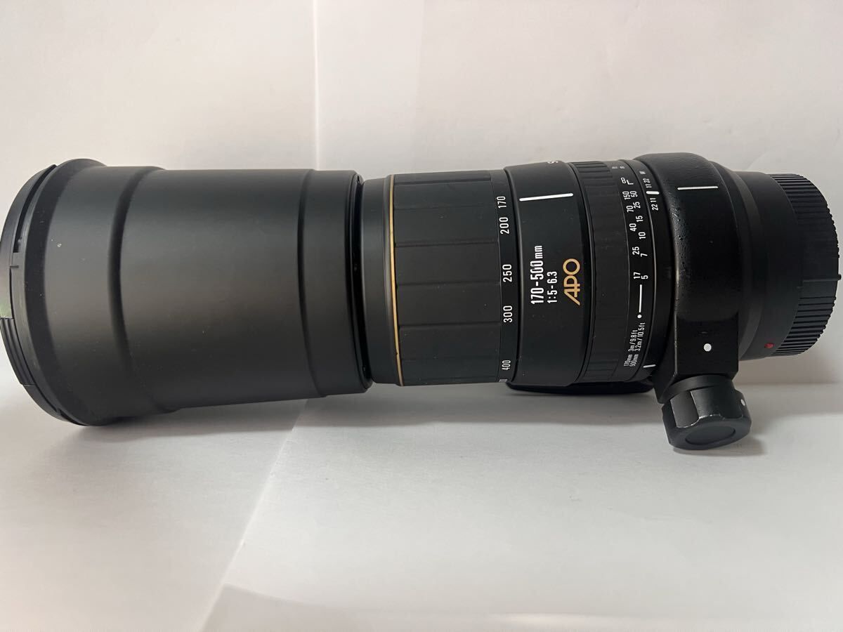 ☆極上美品☆SIGMA シグマ APO 170-500mm F5-6.3 rf ソニー・ミノルタ