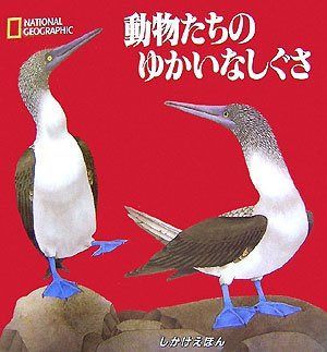 動物たちのゆかいなしぐさ (しかけえほん NATIONAL GEOGRAPHIC)