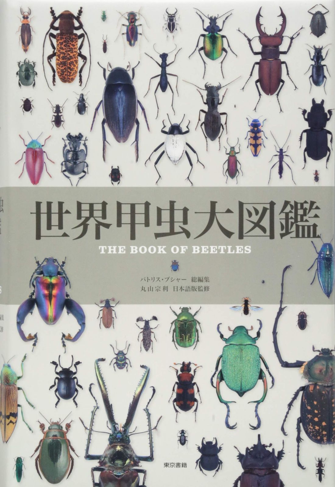 世界甲虫大図鑑