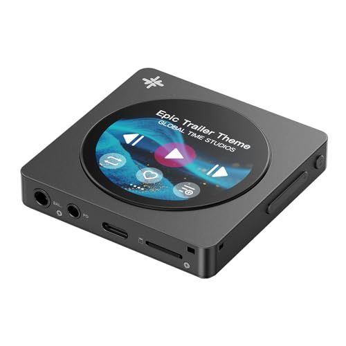 【新品】FIIO Snowsky DISC FIO-SSDISC【日本正規品・シリアルナンバー付】デジタルオーディオプレーヤー (ブラック) ea34a522
