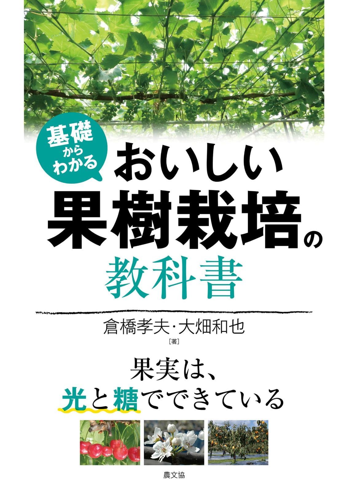 基礎からわかる おいしい果樹栽培の教科書: 果実は、光と糖でできている