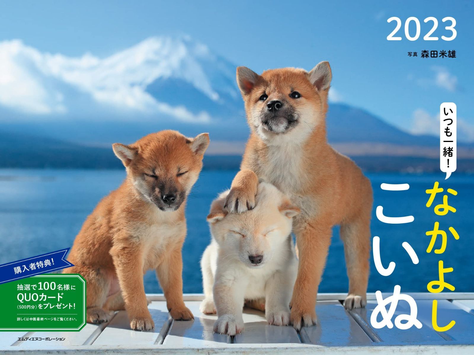 2023 いつも一緒! なかよしこいぬカレンダー ([カレンダー])