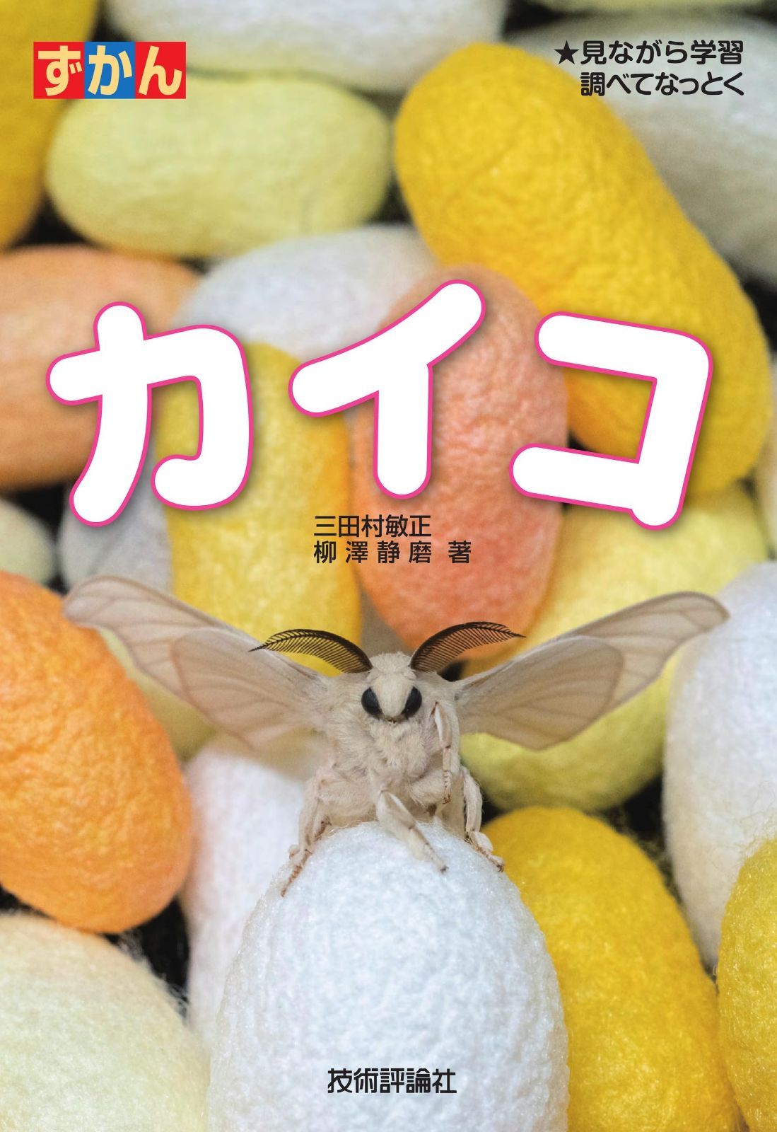 カイコ