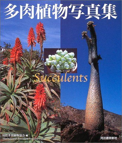 多肉植物写真集