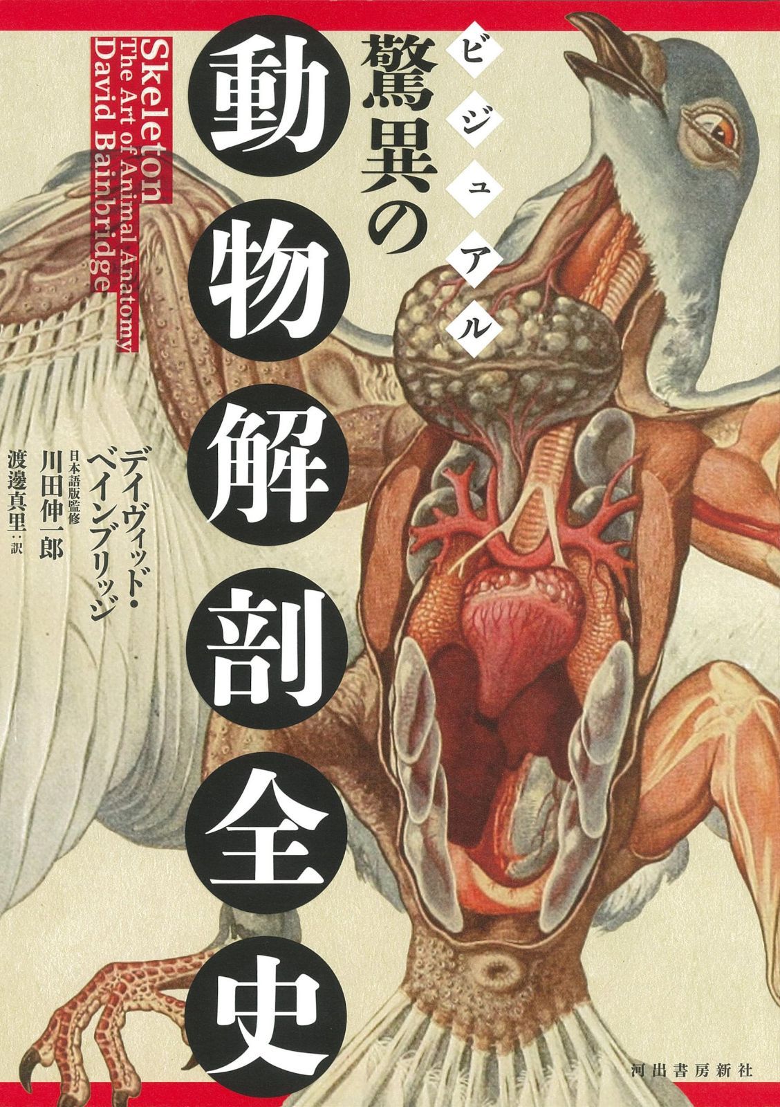 ビジュアル 驚異の動物解剖全史