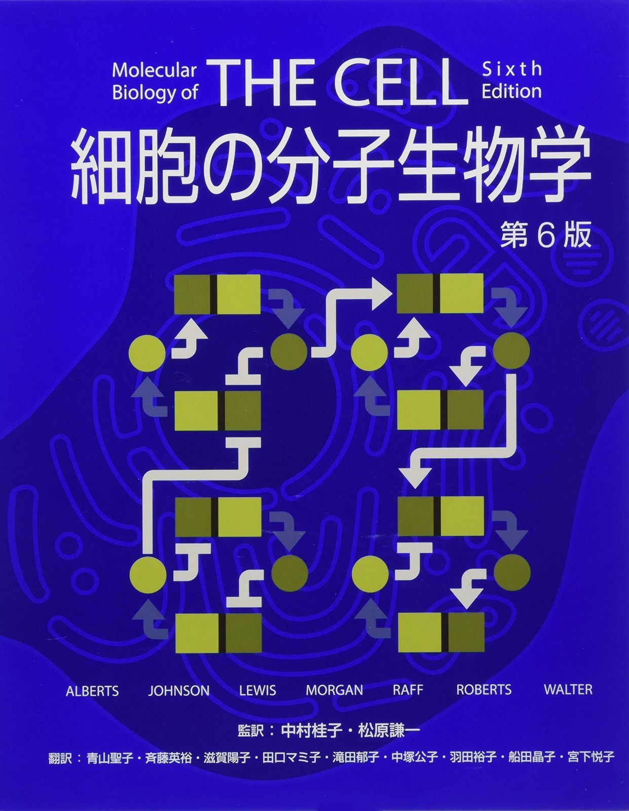 細胞の分子生物学 第6版 10,068円