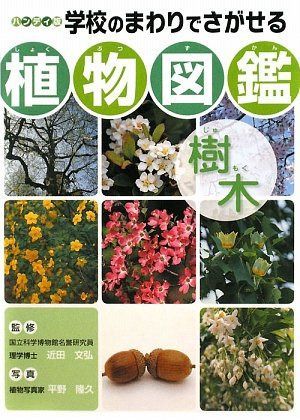 学校のまわりでさがせる植物図鑑樹木 ハンディ版