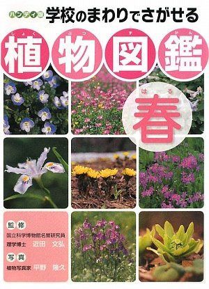 学校のまわりでさがせる植物図鑑: ハンディ版 (春)