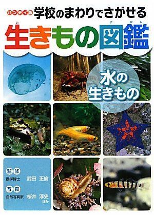 学校のまわりでさがせる生きもの図鑑: ハンディ版 (水の生きもの)