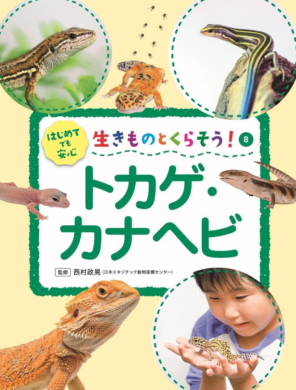 トカゲ・カナヘビ (生きものとくらそう!) 10,392円