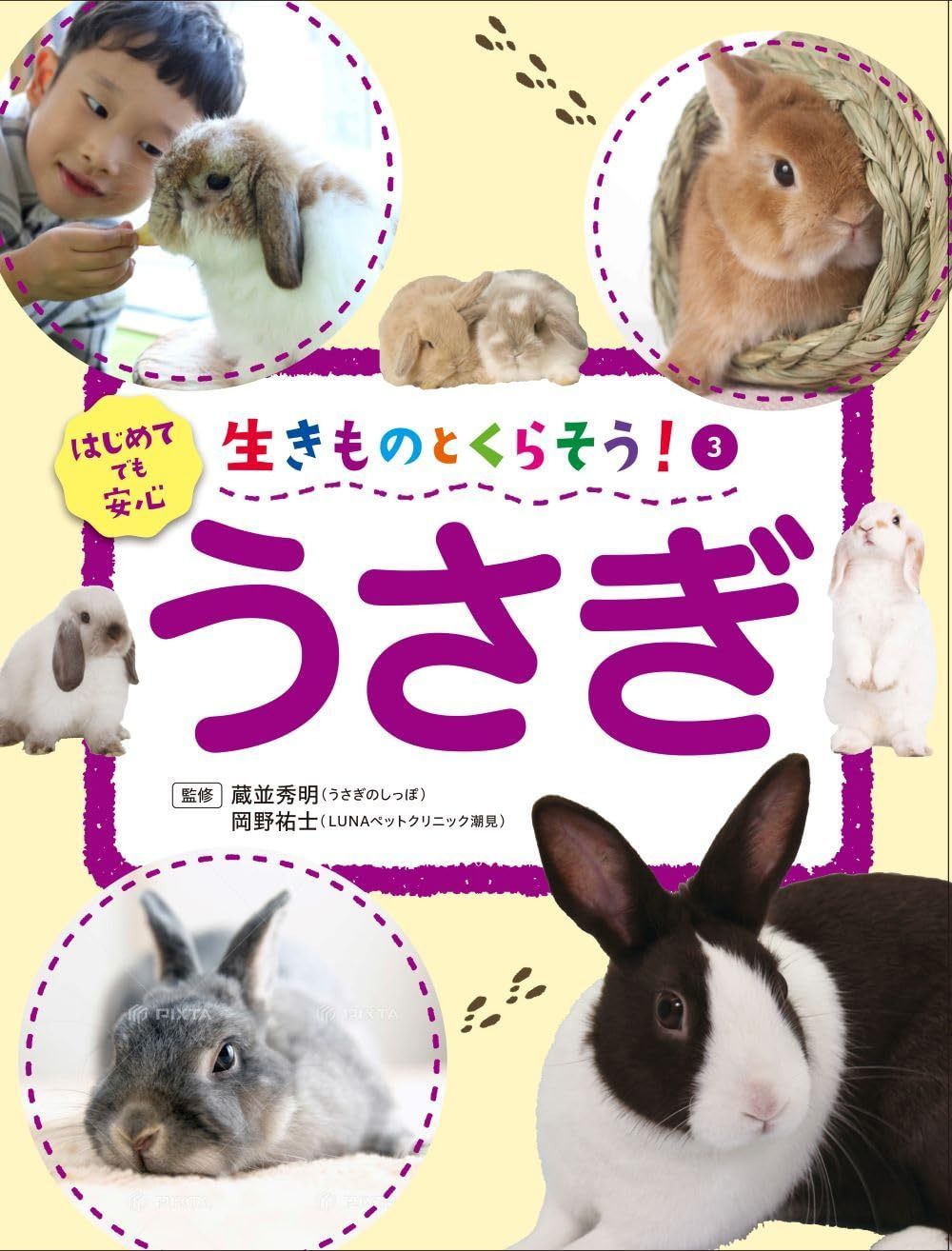 うさぎ (生きものとくらそう! 3)