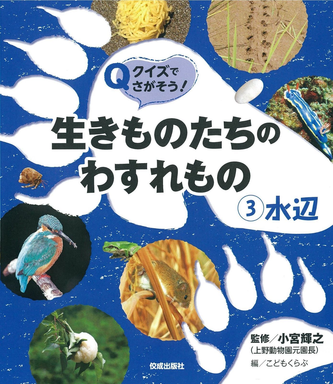 クイズでさがそう! 生きものたちのわすれもの3水辺