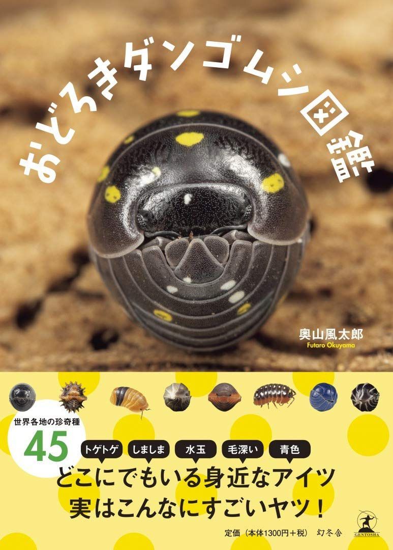 おどろきダンゴムシ図鑑