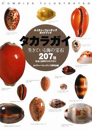 タカラガイ: 生きている海の宝石 (ネイチャーウォッチングガイドブック)
