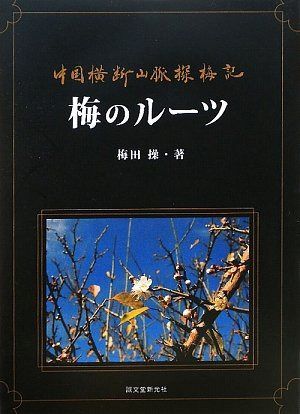 梅のル-ツ: 中国横断山脈探梅記