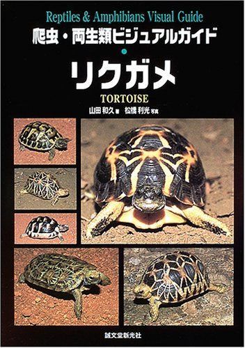 リクガメ: 世界のリクガメ図鑑 (爬虫・両生類ビジュアルガイド)