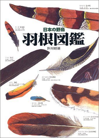日本の野鳥羽根図鑑