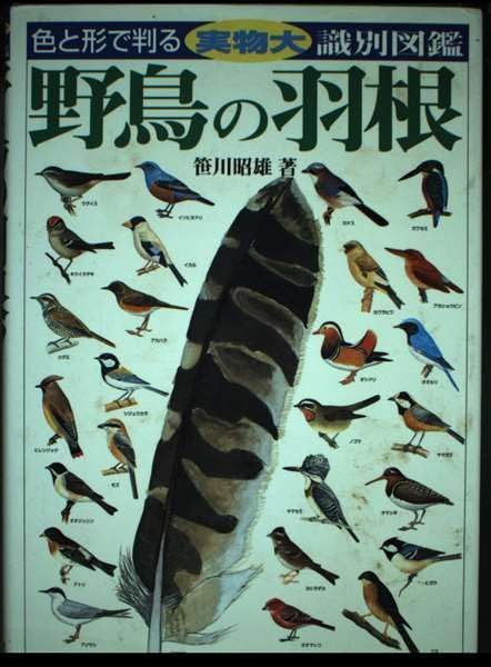 野鳥の羽根: 色と形で判る実物大識別図鑑