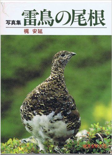 雷鳥の尾根: 写真集 8,448円