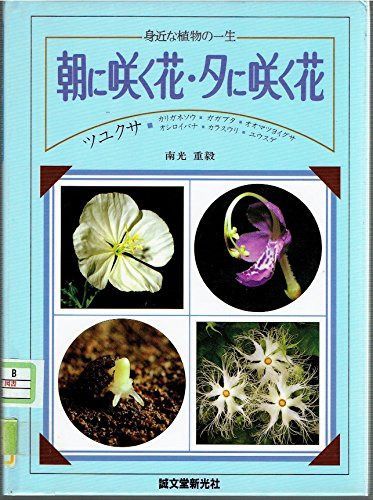 朝に咲く花・夕に咲く花: ツユクサ・カリガネソウ・ガガブタ・オオマツヨイグサ・オシロイバナ・カラスウリ (身近な植物の一生)