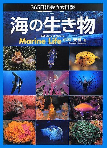 365日出会う大自然 海の生き物