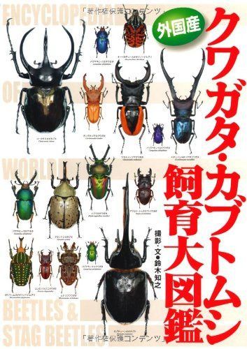 外国産クワガタ・ガブトムシ飼育大図鑑