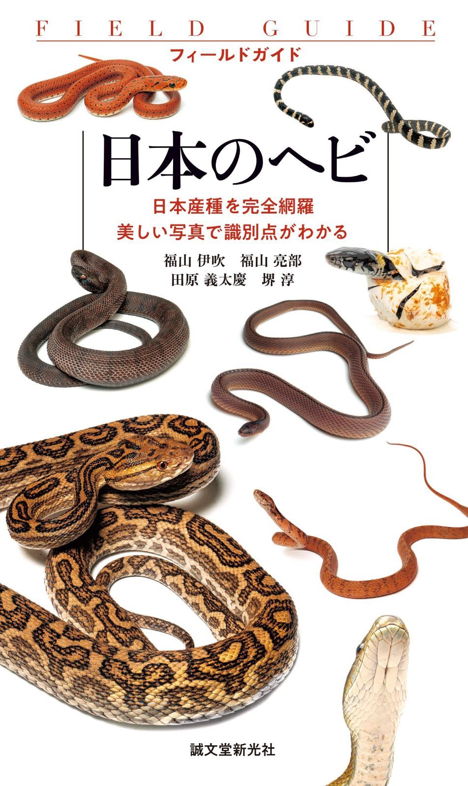 日本のヘビ: 日本産種を完全網羅 美しい写真で識別点がわかる (フィールドガイド)