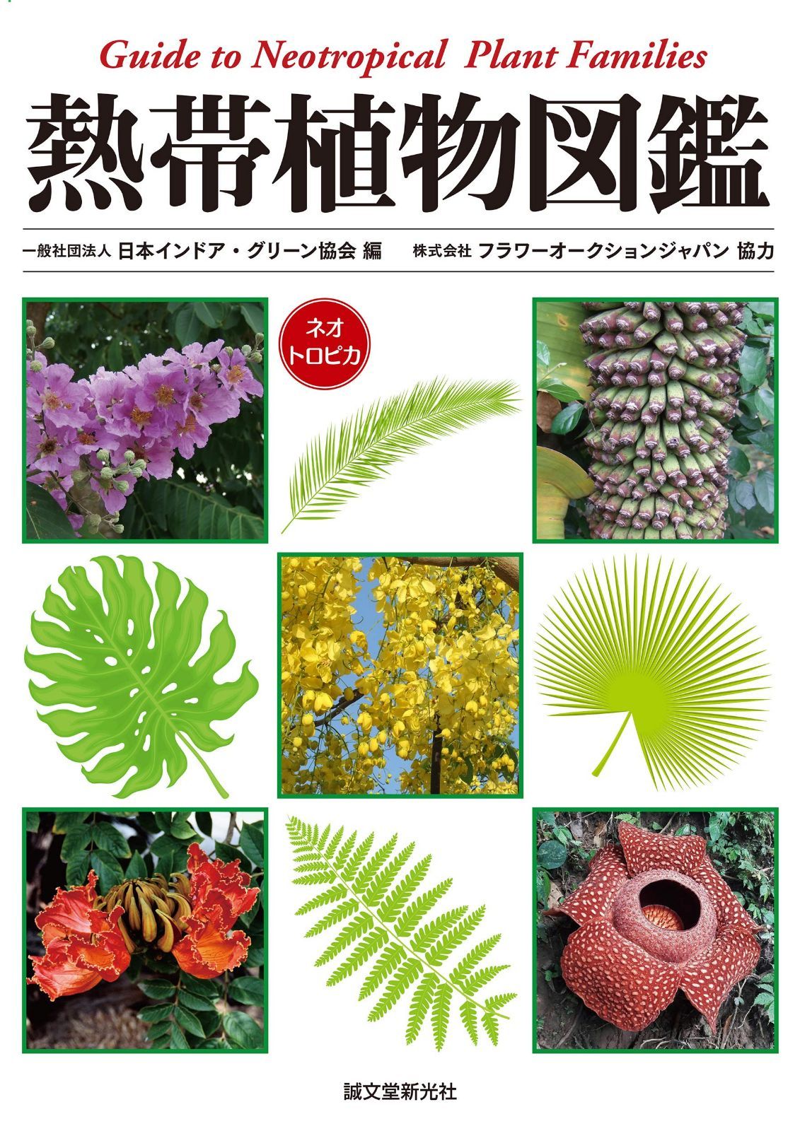 熱帯植物図鑑: Guide to Neotropical Plant Families